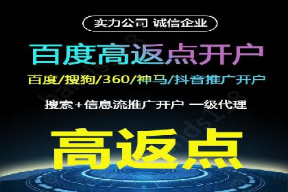 SEM推广实战：成功案例剖析